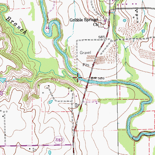 Topographic Map of Moores Branch, TX