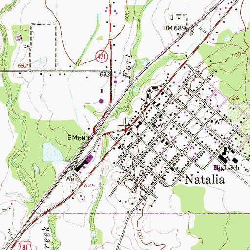 Topographic Map of Natalia, TX