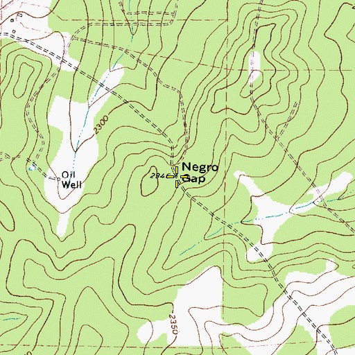 Topographic Map of Negro Gap, TX