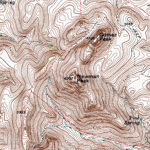 Topographic Map of Newman Peak, TX