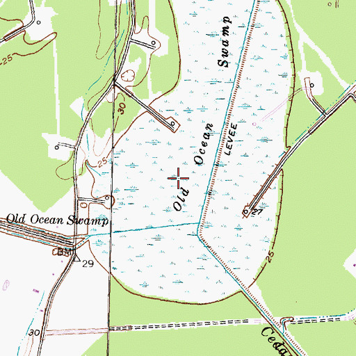 Topographic Map of Old Ocean Swamp, TX