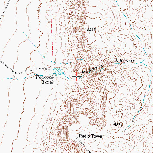 Topographic Map of Peacock Canyon, TX