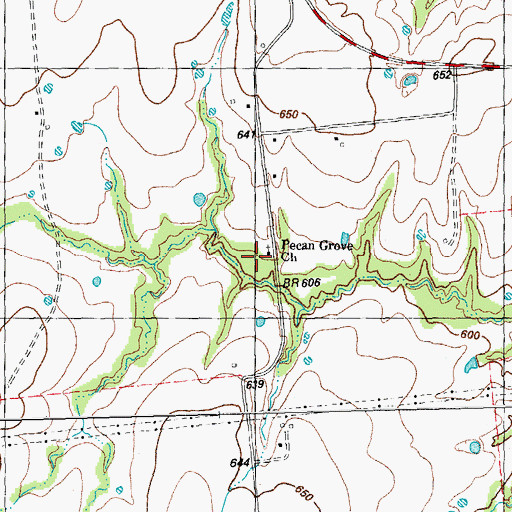 Topographic Map of Pecan Grove Church, TX