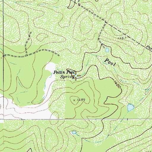 Topographic Map of Pecan Pool Spring, TX
