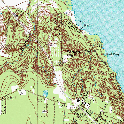 Topographic Map of Pedigo Hill, TX