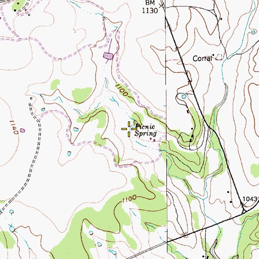 Topographic Map of Picnic Spring, TX