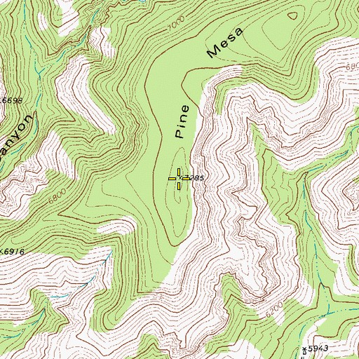 Topographic Map of Pine Mesa, TX