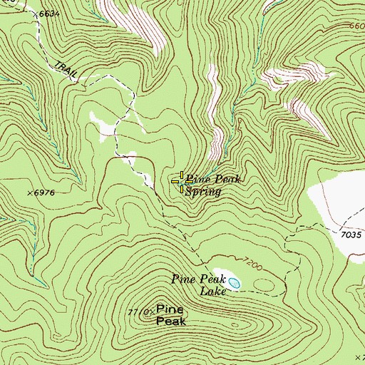 Topographic Map of Pine Peak Spring, TX