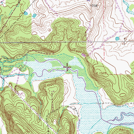 Topographic Map of Prairie Branch, TX