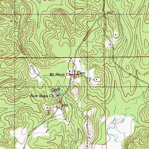 Topographic Map of Mount Sinai Church, AL