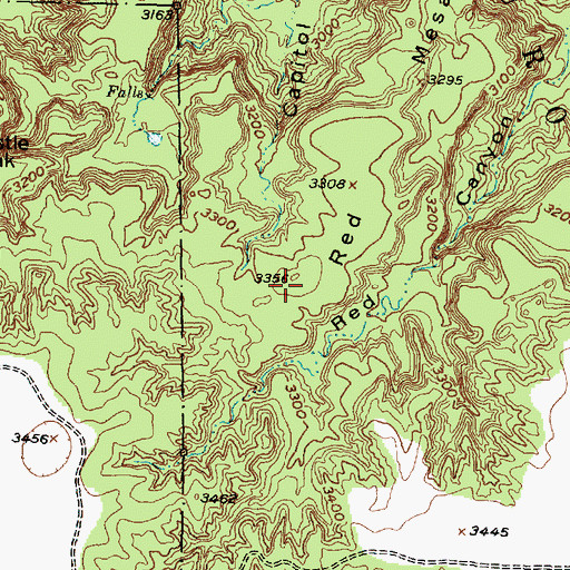 Topographic Map of Red Mesa, TX