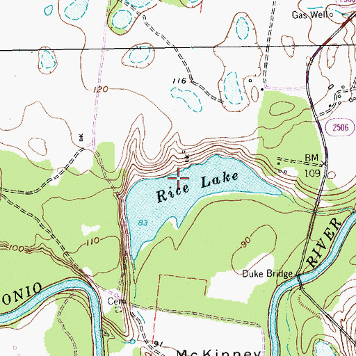 Topographic Map of Rice Lake, TX