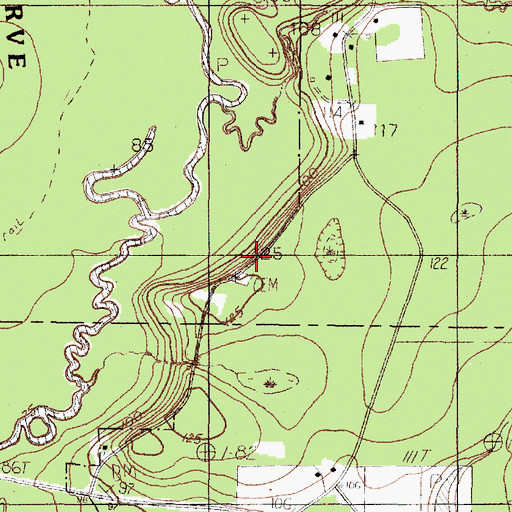 Topographic Map of Richardson Cemetery, TX
