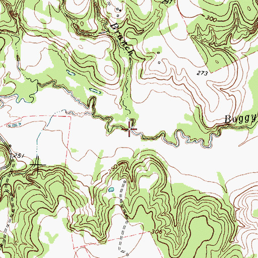 Topographic Map of Rocky Branch, TX