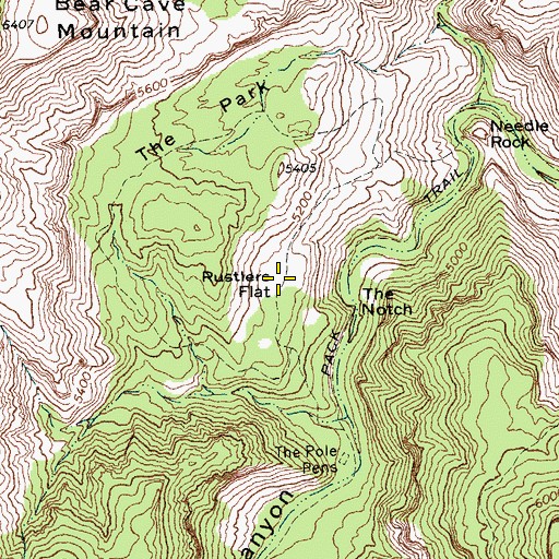 Topographic Map of Rustlers Flat, TX