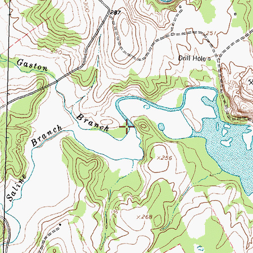 Topographic Map of Saline Branch, TX