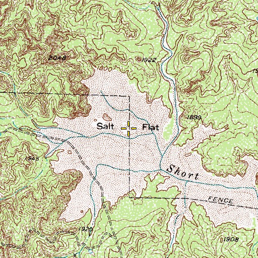 Topographic Map of Salt Flat, TX