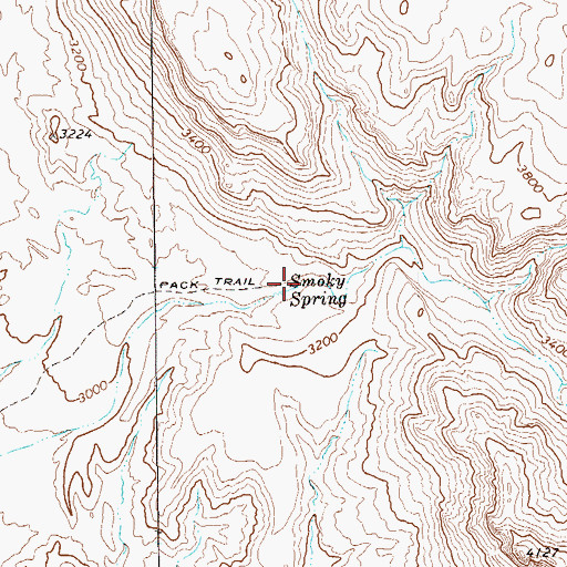 Topographic Map of Smoky Spring, TX