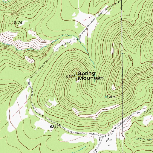 Topographic Map of Spring Mountain, TX