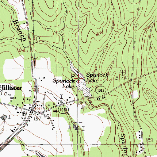 Topographic Map of Spurlock Lake, TX