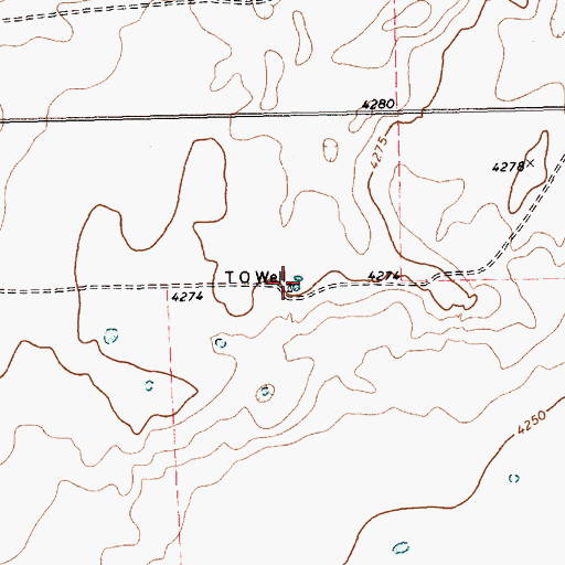 Topographic Map of T O Well, TX