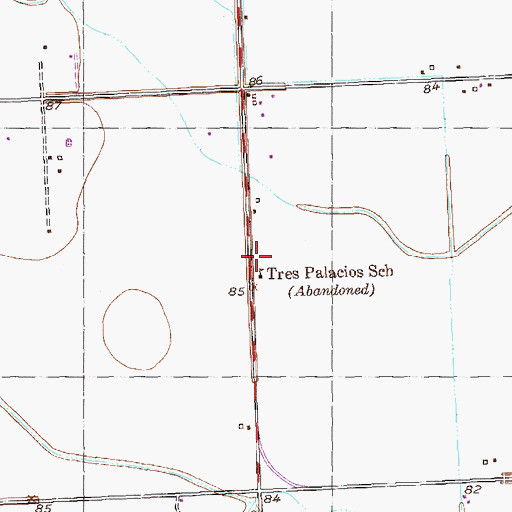 Topographic Map of Tres Palacios School, TX