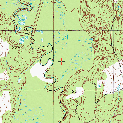 Topographic Map of Tupelo Gum Slough, TX