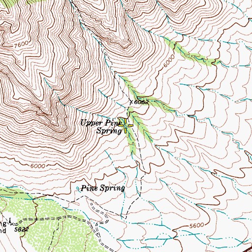 Topographic Map of Upper Pine Spring, TX