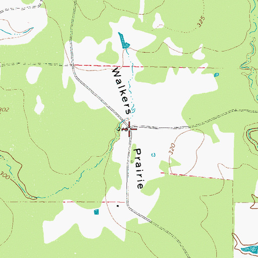 Topographic Map of Walkers Prairie, TX