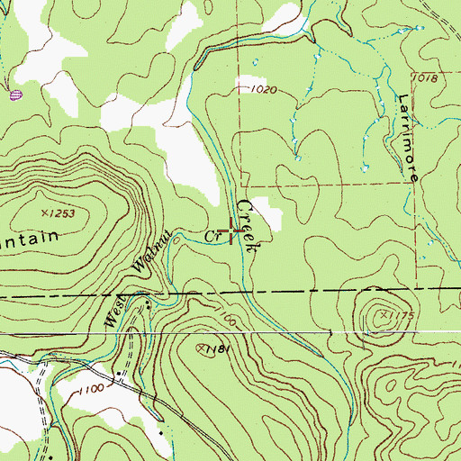 Topographic Map of West Walnut Creek, TX