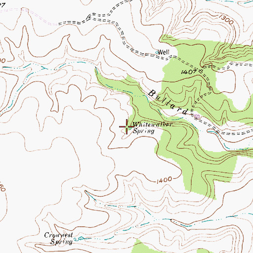 Topographic Map of Whitewalker Spring, TX