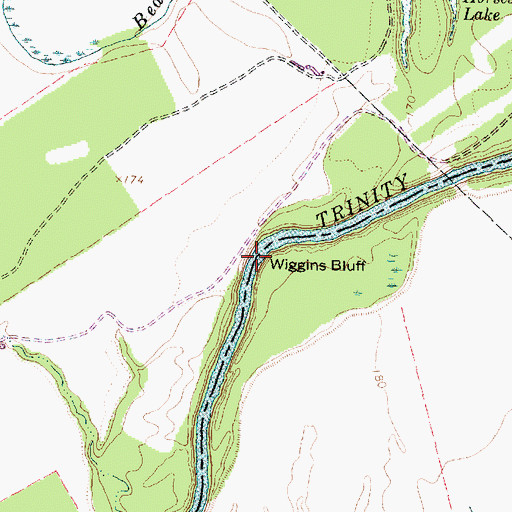 Topographic Map of Wiggins Bluff, TX