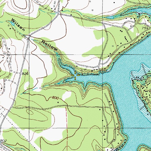 Topographic Map of Wilson Hollow, TX