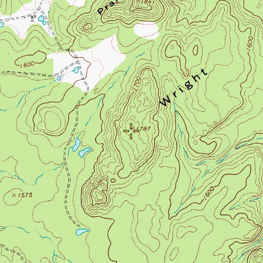 Topographic Map of Wright Knobs, TX