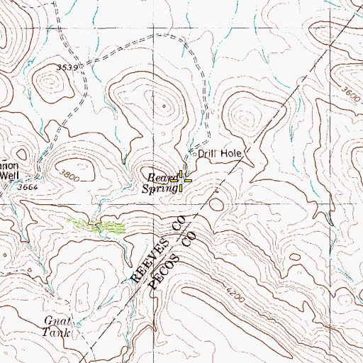 Topographic Map of Beard Spring, TX