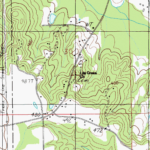 Topographic Map of Lily Green Church, AL