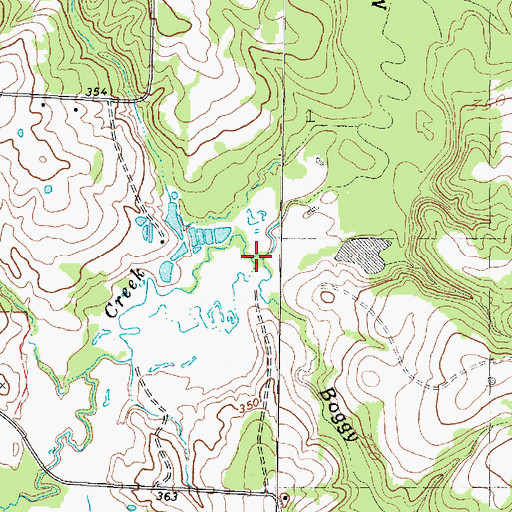 Topographic Map of Boggy Branch, TX