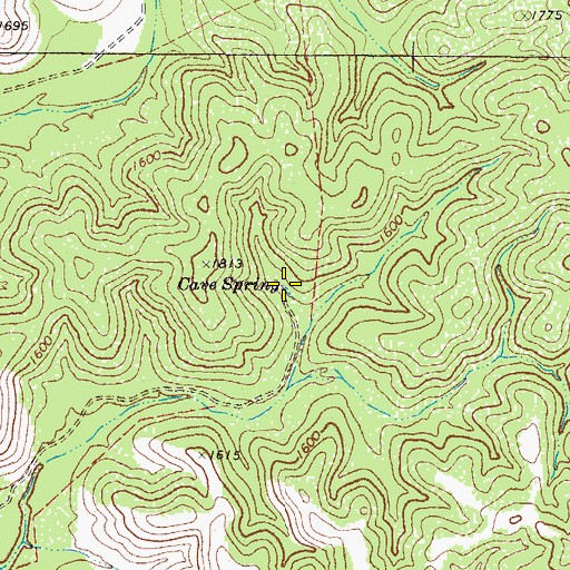 Topographic Map of Cave Spring, TX