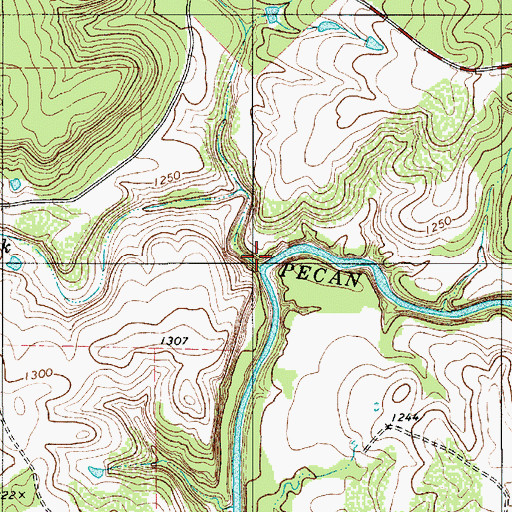 Topographic Map of Chambers Creek, TX