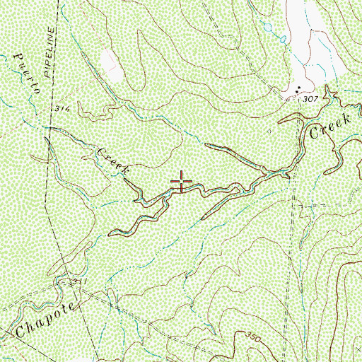 Topographic Map of Del Puerto Creek, TX