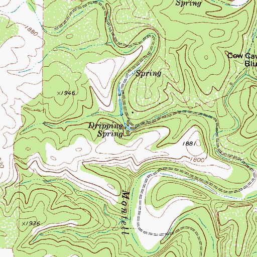 Topographic Map of Dripping Spring, TX