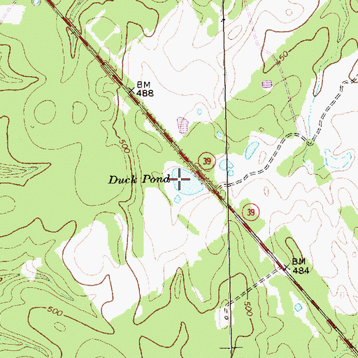 Topographic Map of Duck Pond, TX