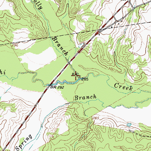 Topographic Map of Holly Branch, TX