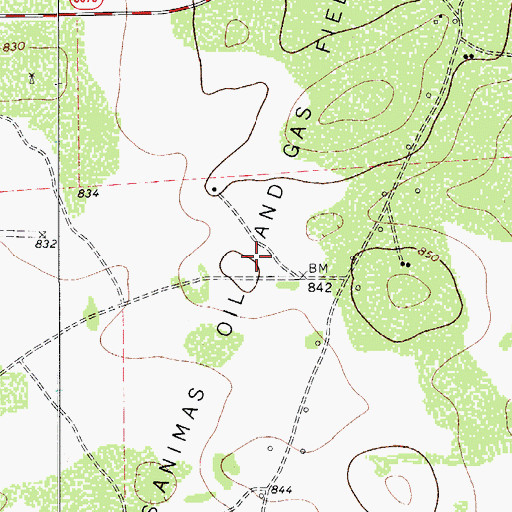 Topographic Map of Las Animas Oil and Gas Field, TX