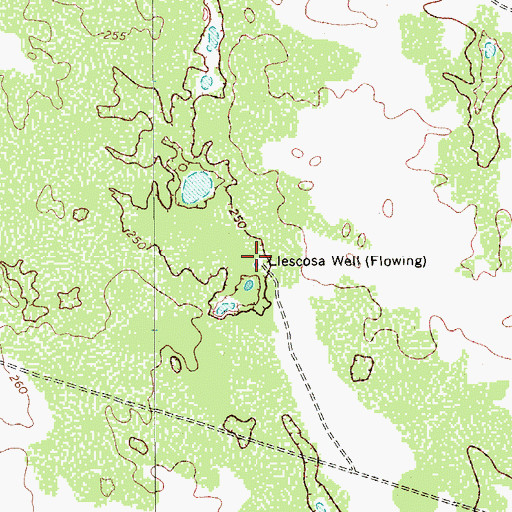 Topographic Map of Llescosa Well, TX