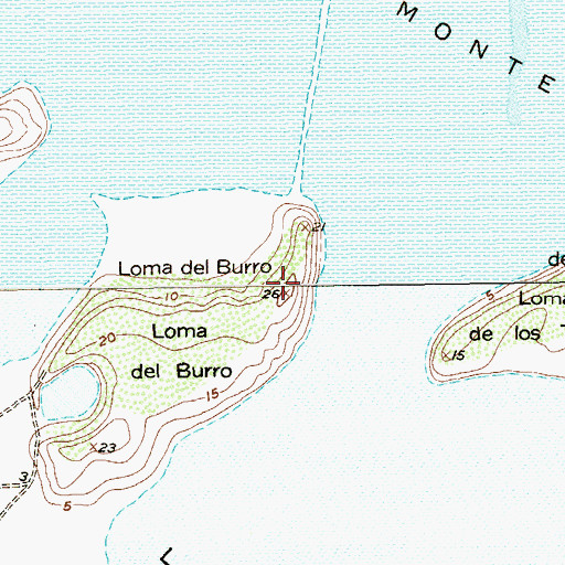 Topographic Map of Loma del Burro, TX