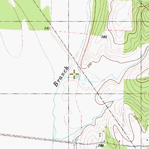 Topographic Map of Mitchell Branch, TX