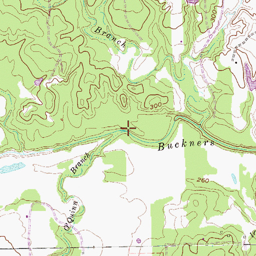 Topographic Map of O'Quinn Branch, TX