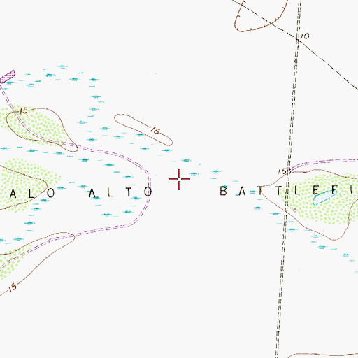 Topographic Map of Palo Alto Battlefield, TX