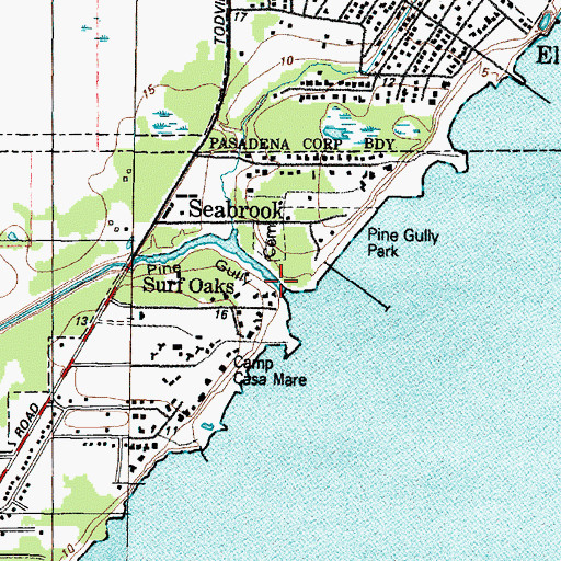 Topographic Map of Pine Gully, TX